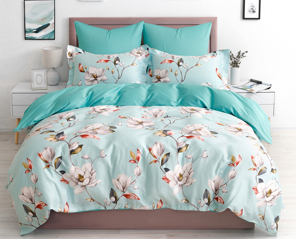 Постельное белье СайлиД BN-001 сатин