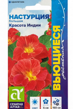 Настурция Красота Индии вьющ. 0,5 г СМЦ490