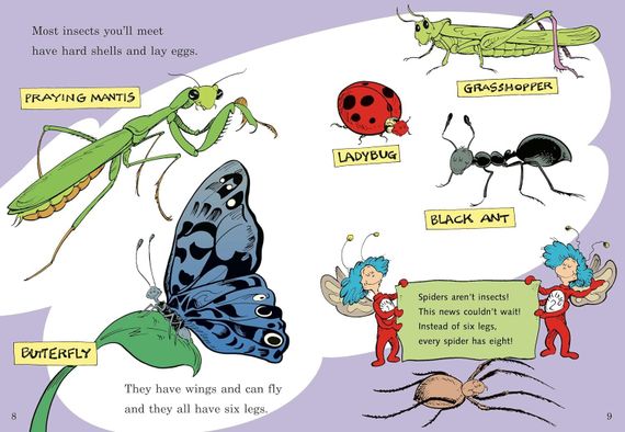 On Beyond Bugs! All About Insects