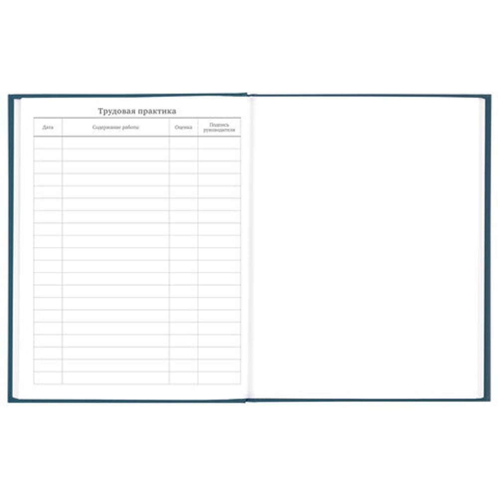 Дневник 5-11 класс 48 л., твердый, BRAUBERG, выборочный лак, с подсказом, "Stylish", 106409