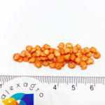 Рэд Найт F1 семена перца сладкого (Seminis /ALEXAGRO) семена