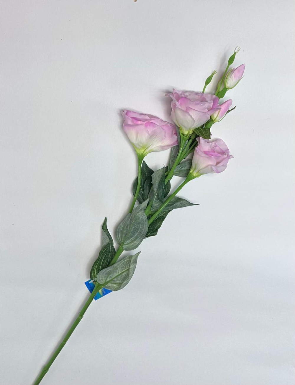 Эустома ветка