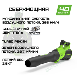 Воздуходувка аккумуляторная Greenworks Арт. 2408207, 40V