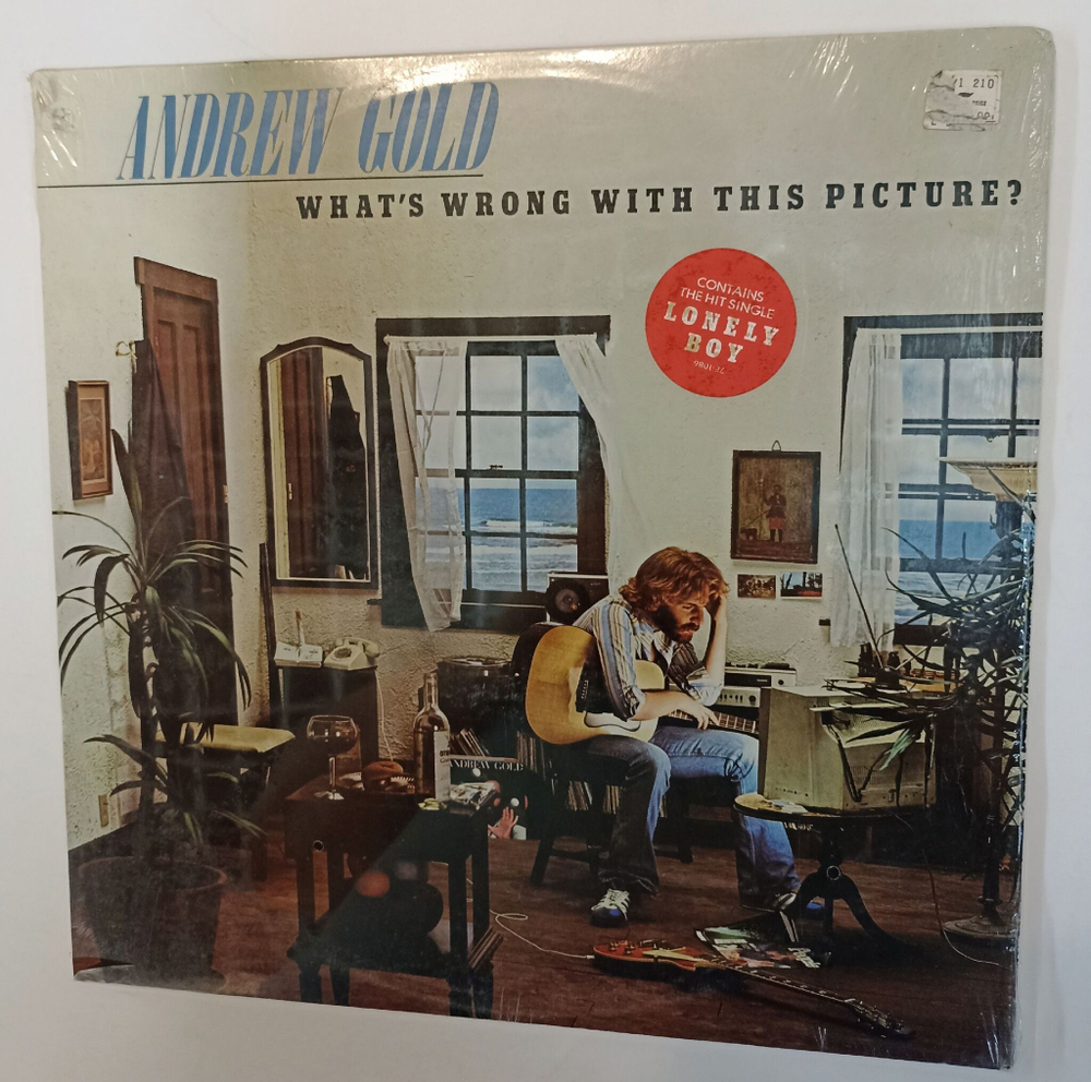 Винтажная виниловая пластинка LP Andrew Gold Whats Wrong With This Picture (USA 1976)