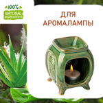 Алоэ вера и чайное дерево, отдушка для свечей и мыла