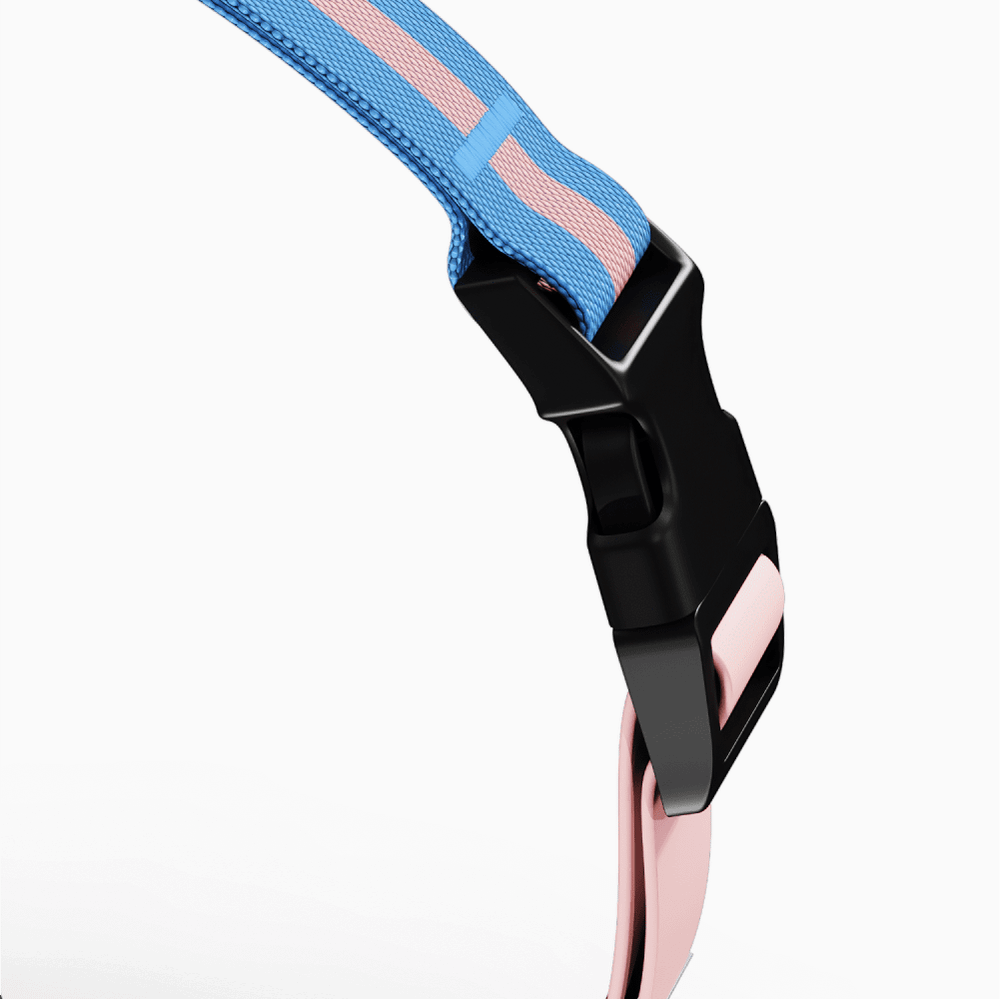 Шлейка Stripes