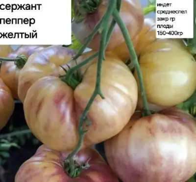 СЕРЖАНТ ПЕППЕР ЖЕЛТЫЙ