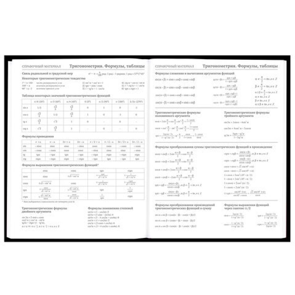 Дневник 5-11 класс 48 л., твердый, BRAUBERG, матовая ламинация, с подсказом, "Гитара", 107185