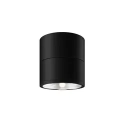 Потолочный светильник Спин / Spin 3000К 12Вт IP 54 Outdoor o310cl-l12gf3k