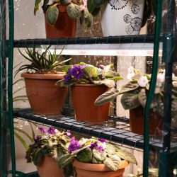 Теплица GREEN APPLE GA-House-4 со светильниками в комплекте 4 яруса 1250х690х300 мм | Теплица