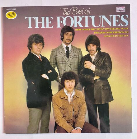 Винтажная виниловая пластинка LP The Best Of The Fortunes (Holland 1982)