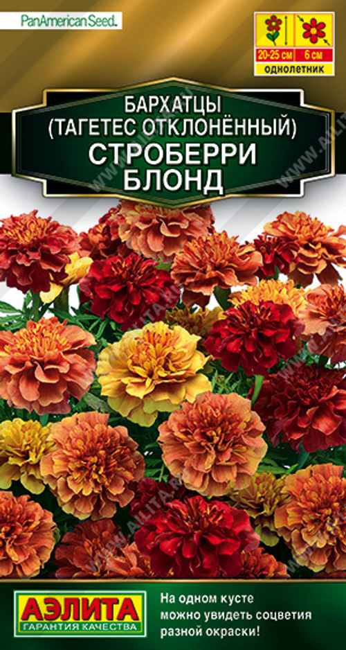 Бархатцы отклоненные Строберри блонд