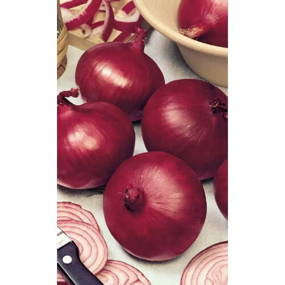 Семена Лук репчатый Ред Барон (Марс) 0,3гр Б/П