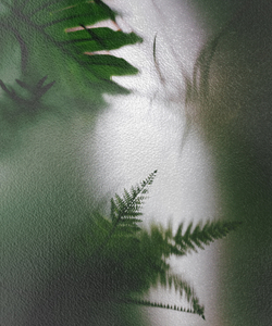 Коллекция FRAME 19