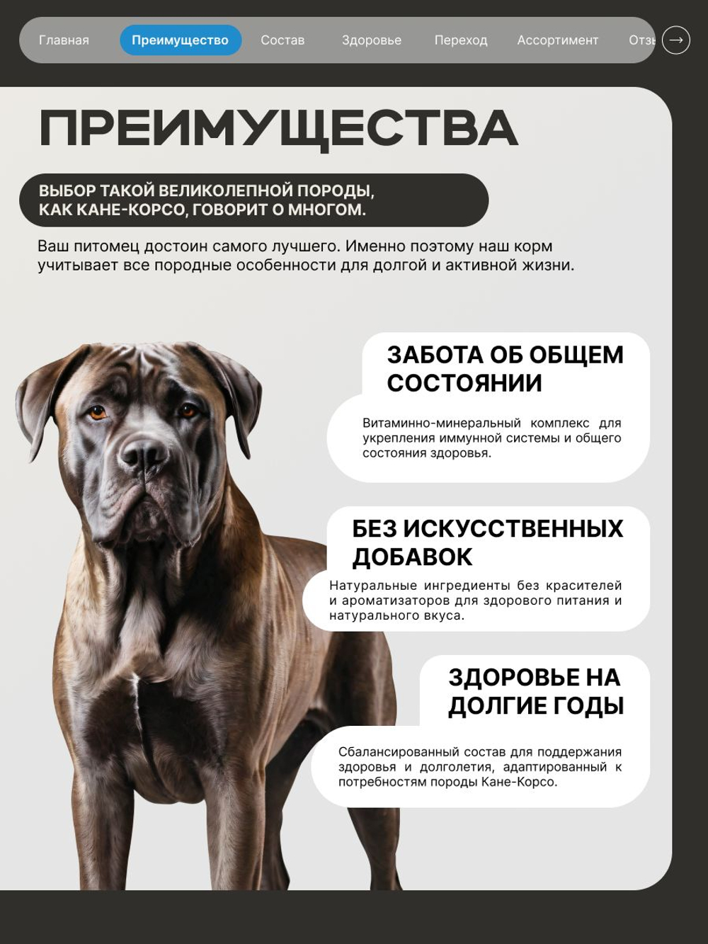 Корм сухой для взрослых собак породы Кане-корсо, премиум полнорационный комплекс, с лососем, 12 кг, QUATTRO