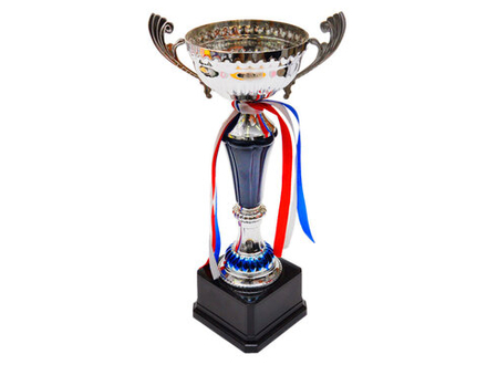 Кубок. Высота 35 см: 271-В