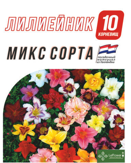 Лилейник Корневище, микс сорта, 10 шт