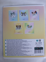 Тетради 48 листа А5+.  "Кошки-Бабочки", общая, клетка. Формат А5+ (163*203 мм). Арт.120006. С полями. Комплект 5 шт.
