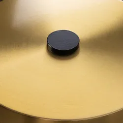 Декоративная настольная лампа Arte Lamp