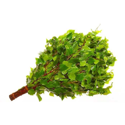 Веник банный березовый