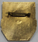 Знак "Дружинник" XF