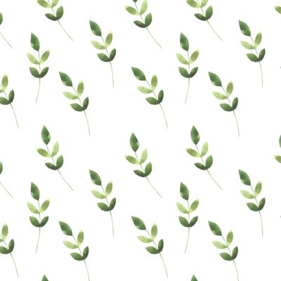 Зеленные листья на белом фоне