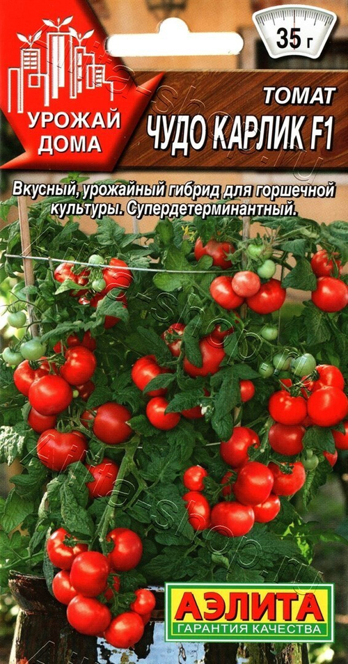 Томат Чудо карлик F1