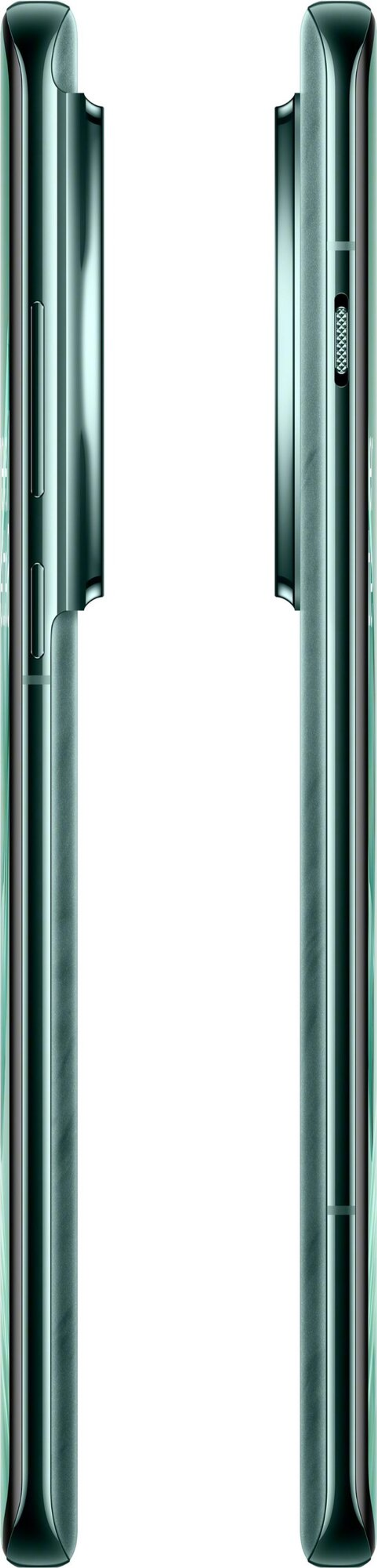 OnePlus 12 12/256Gb Flowy Emerald