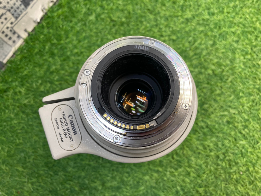 Canon EF 100-400mm 4.5-5.6L IS USM