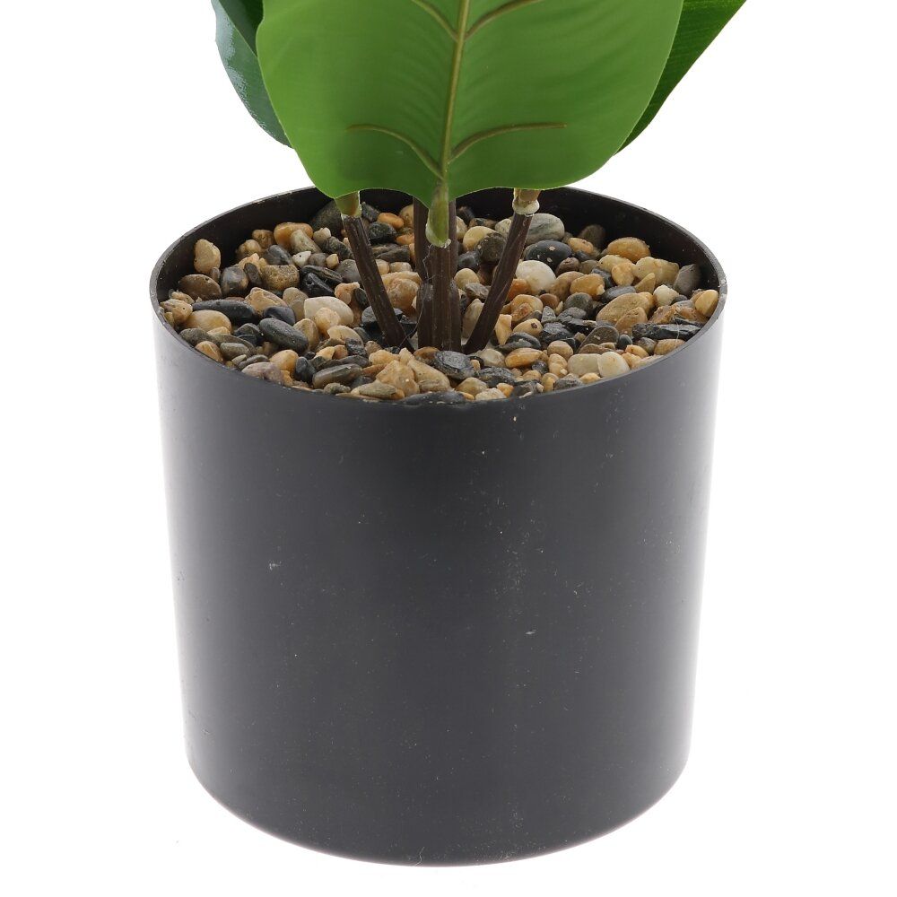 GAEM Цветочная композиция "Фикус", L28 W28 H72 см