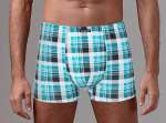 Классические трусы-боксеры в клетку (Размер: XXL) (Цвет: голубой)