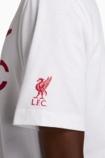 Футболка Nike Liverpool FC 24/25 Swoosh Tee