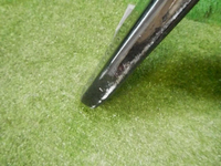 DSCN7444.jpg