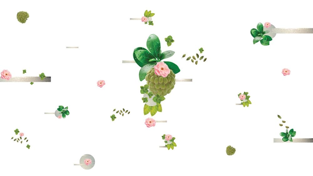 Bombay Perfumery Sulawesi