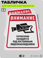Табличка для частной территории "Внимание, территория находится под видеонаблюдением", на дом, для участка, организаций, предупреждающая, 40х30 см, Silver Plane x Айдентика Технолоджи
