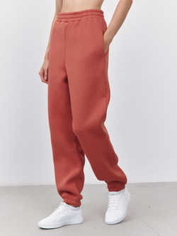 Брюки женские с начесом (терракотовый)