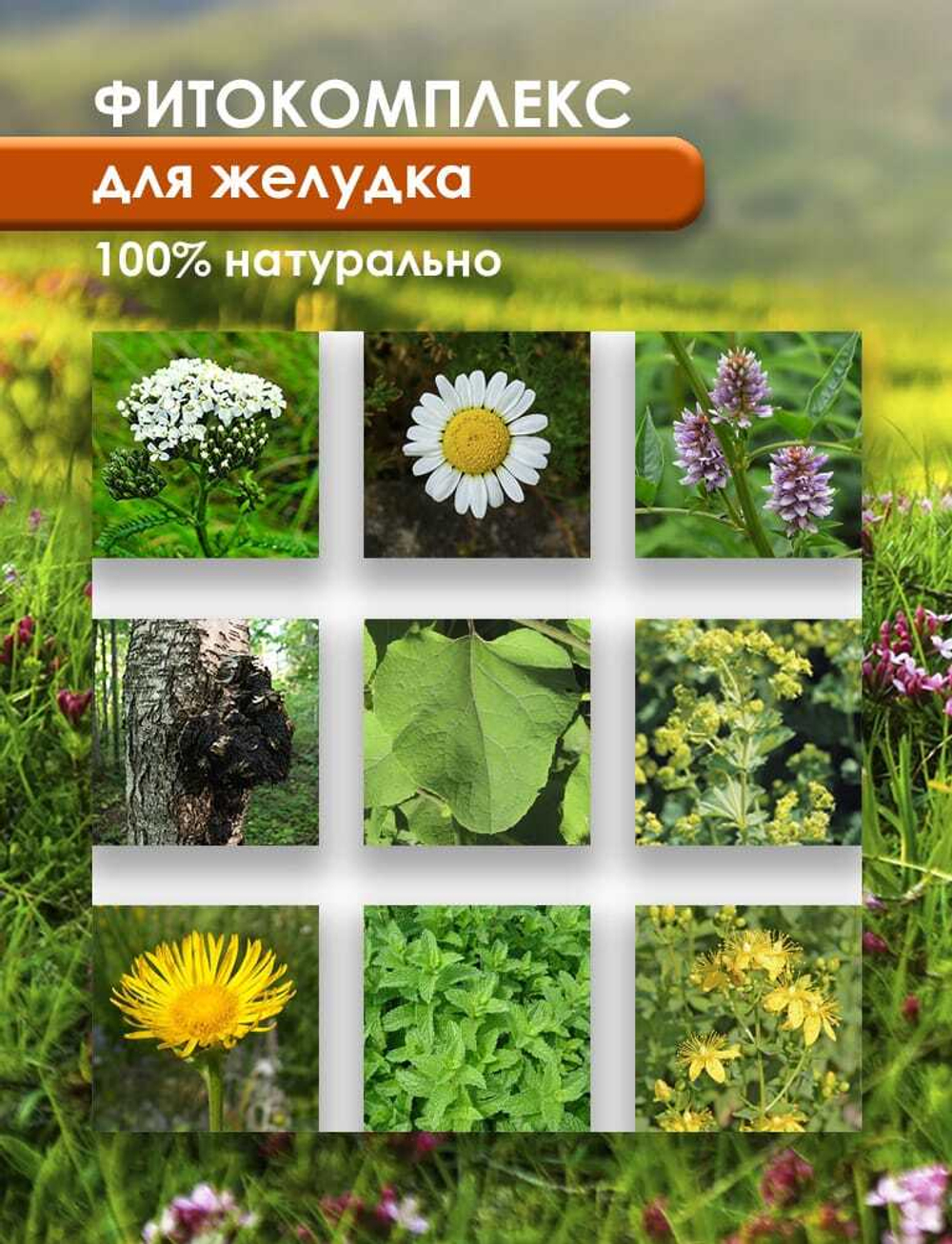 Фитокомплекс для Желудка Полезные травы, 60 капсул