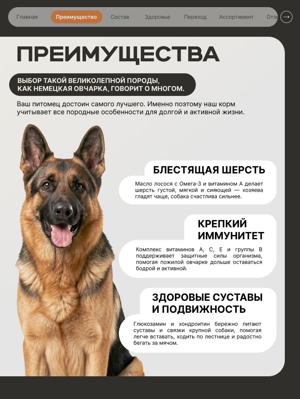 Корм сухой для пожилых собак породы Немецкая овчарка старше 5 лет, с индейкой, 3 кг, QUATTRO