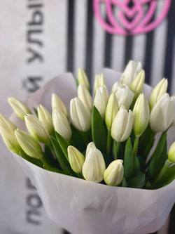 Букет 25 белых тюльпанов