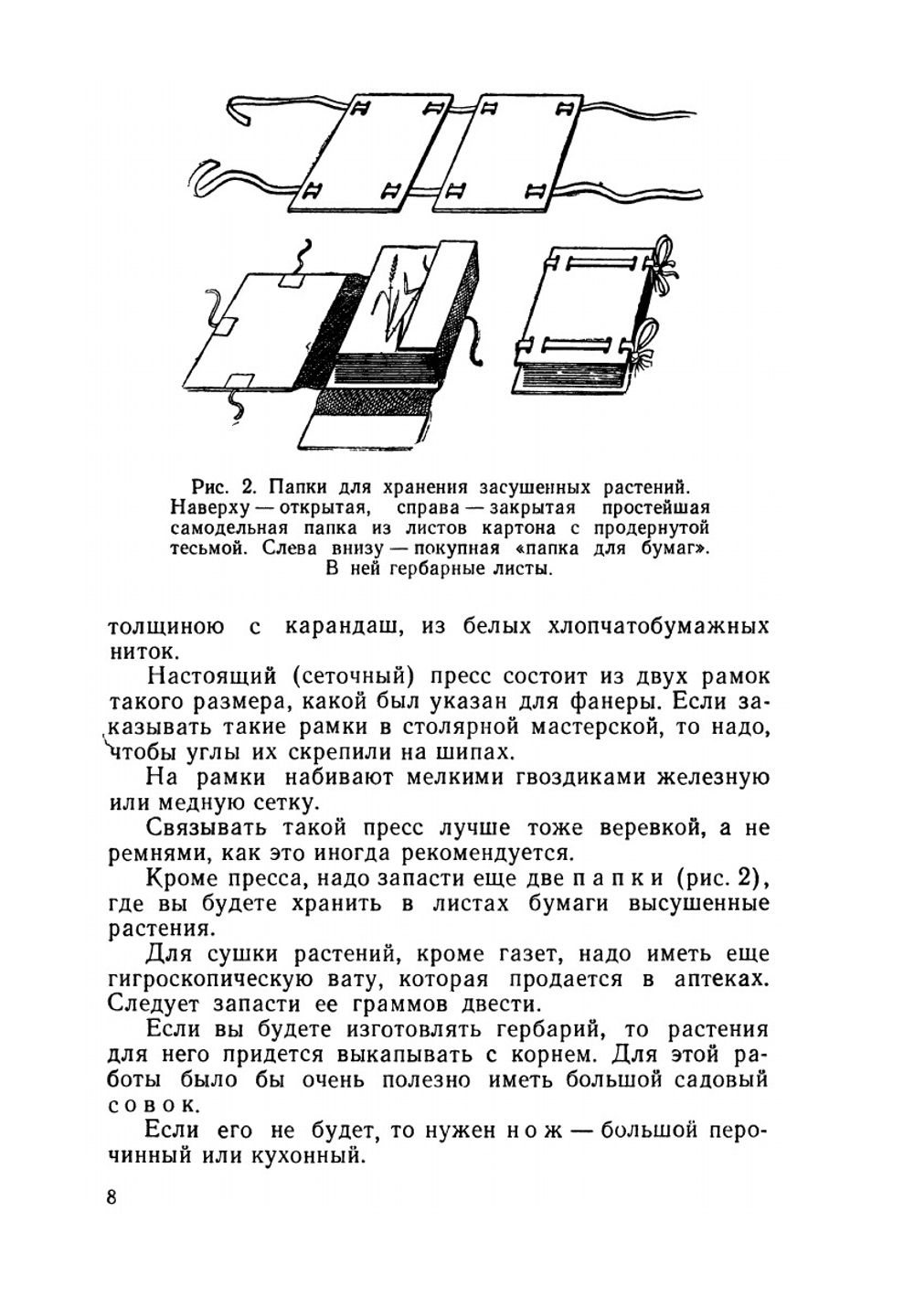 Самодельные коллекции по ботанике и зоологии. Знай и умей | С. Павлович