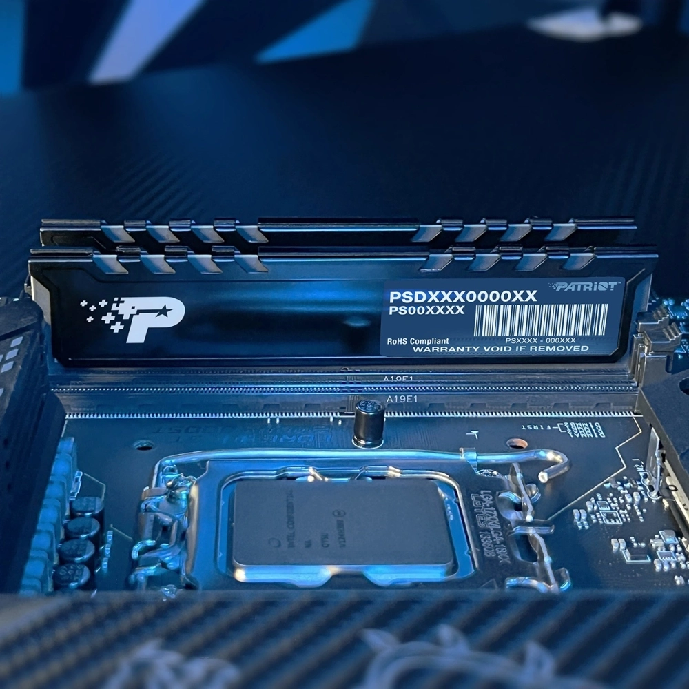 Память оперативная Patriot DDR5 2x32GB 4800MHz Signature Premium RTL (PSP564G4800KH1)