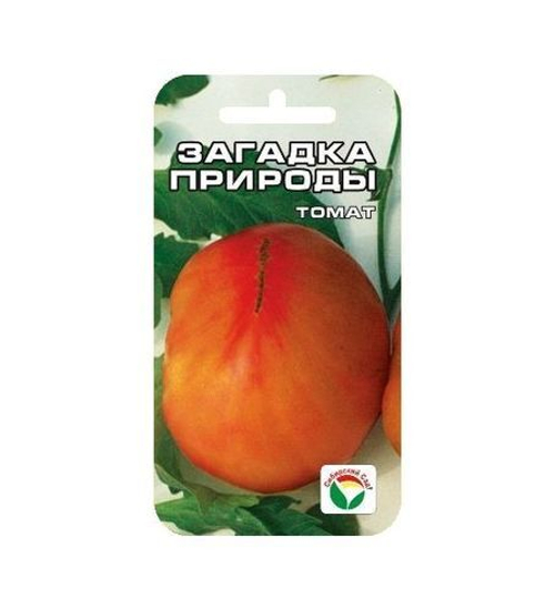 Томат Загадка природы