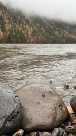 Подвеска Crystal Classic с раухтопазом