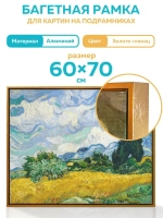 Металлическая багетная рама 70х60 см