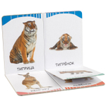 Мамы и малыши (Дикие животные) (Первые слова)/Росмэн/КН. 9785353084549