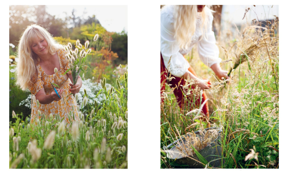Everlasting Blooms