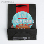 Подарочный пакет Мистер совершенство - 23 х 18 см. (Цвет: черный)