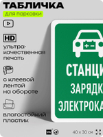 Табличка для парковки "Станция зарядки электрокаров", для дома, офиса, организаций, 40х30 см, Silver Plane x Айдентика Технолоджи
