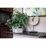 Контейнер для хранения boxxx, organic, 3,5 л, белый