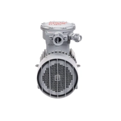 Электродвигатель АИМУР 200 L8 660/1140V, PBExdI Mb, класс изоляции Н, РТС (статор), подшип, SKF, 22/750 IM1001